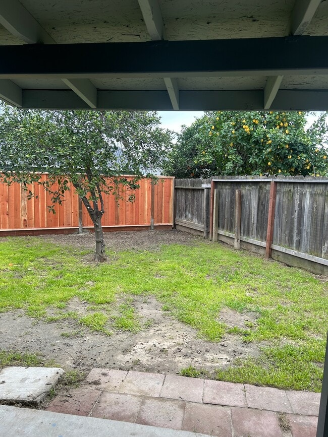 Building Photo - 1008 Shadow Ridge Dr