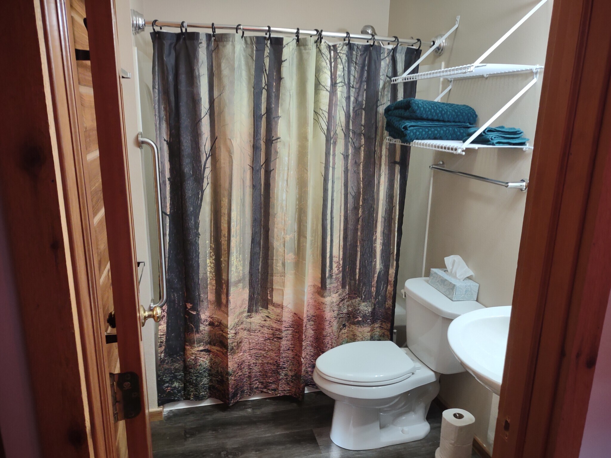 Bathroom 2 - 424 Overlook Ct