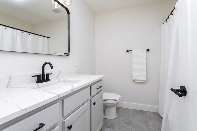 Building Photo - Luxury Breckenridge Park Home
