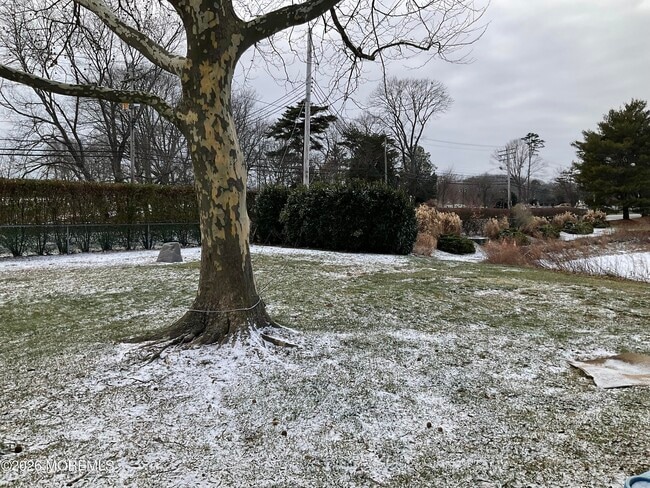 Building Photo - 37 Dogwood Dr