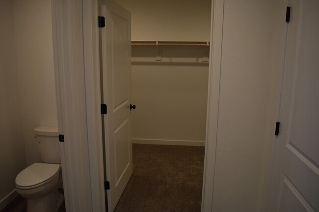 Building Photo - 4123 Scarlet Ct
