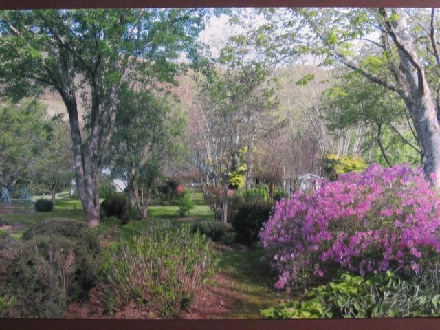 Building Photo - $1,600 - 2 Bed / 1.5 Bath House on Caney Fork with Stunning Landscaped Gardens