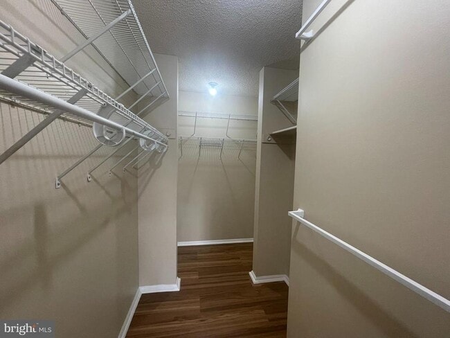 Building Photo - 81 Willow Ct