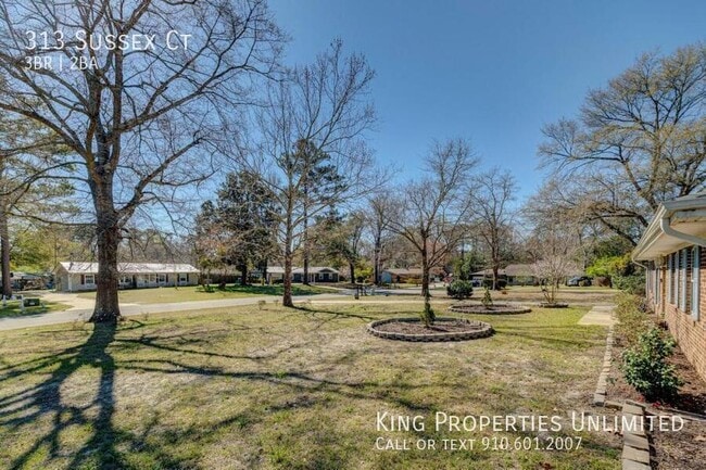 Building Photo - 313 Sussex Ct