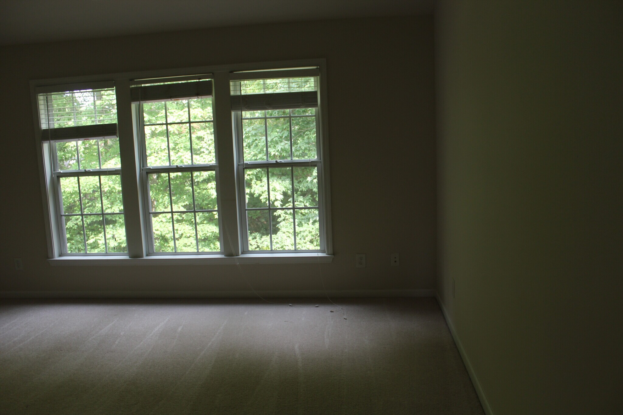 Building Photo - 1404 Bellsmith Dr