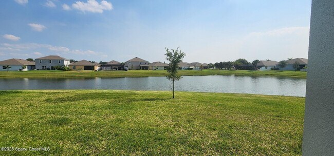 Building Photo - 586 Cooper Ct