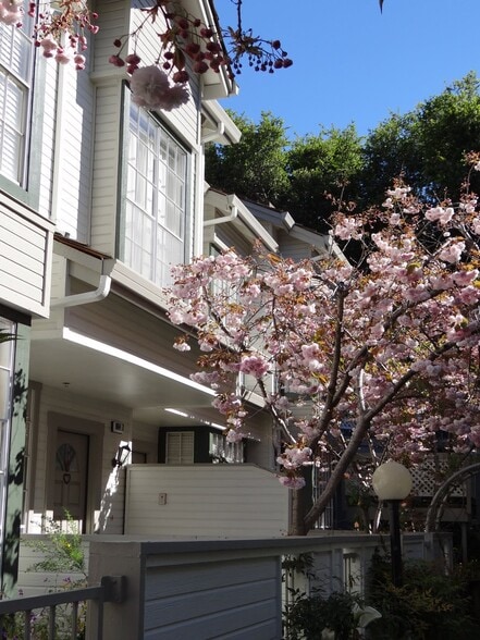 Building Photo - 964 Belmont Ter