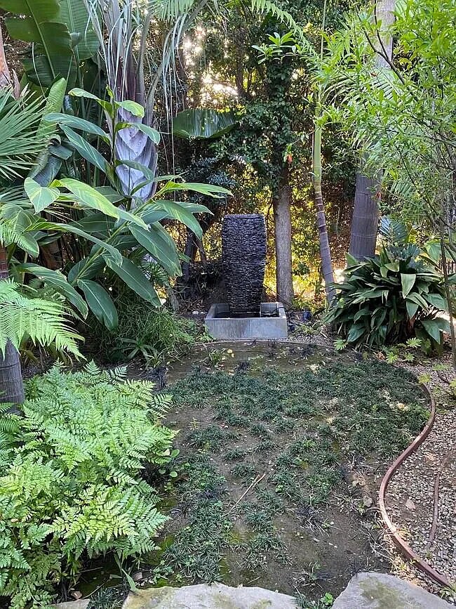 Front Yard - 6551 Fountain Ave
