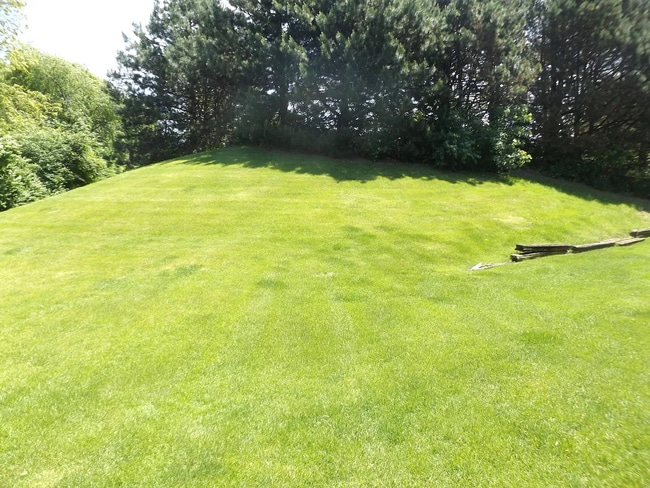 Backyard view - 800 N Lakeside Dr, 2B