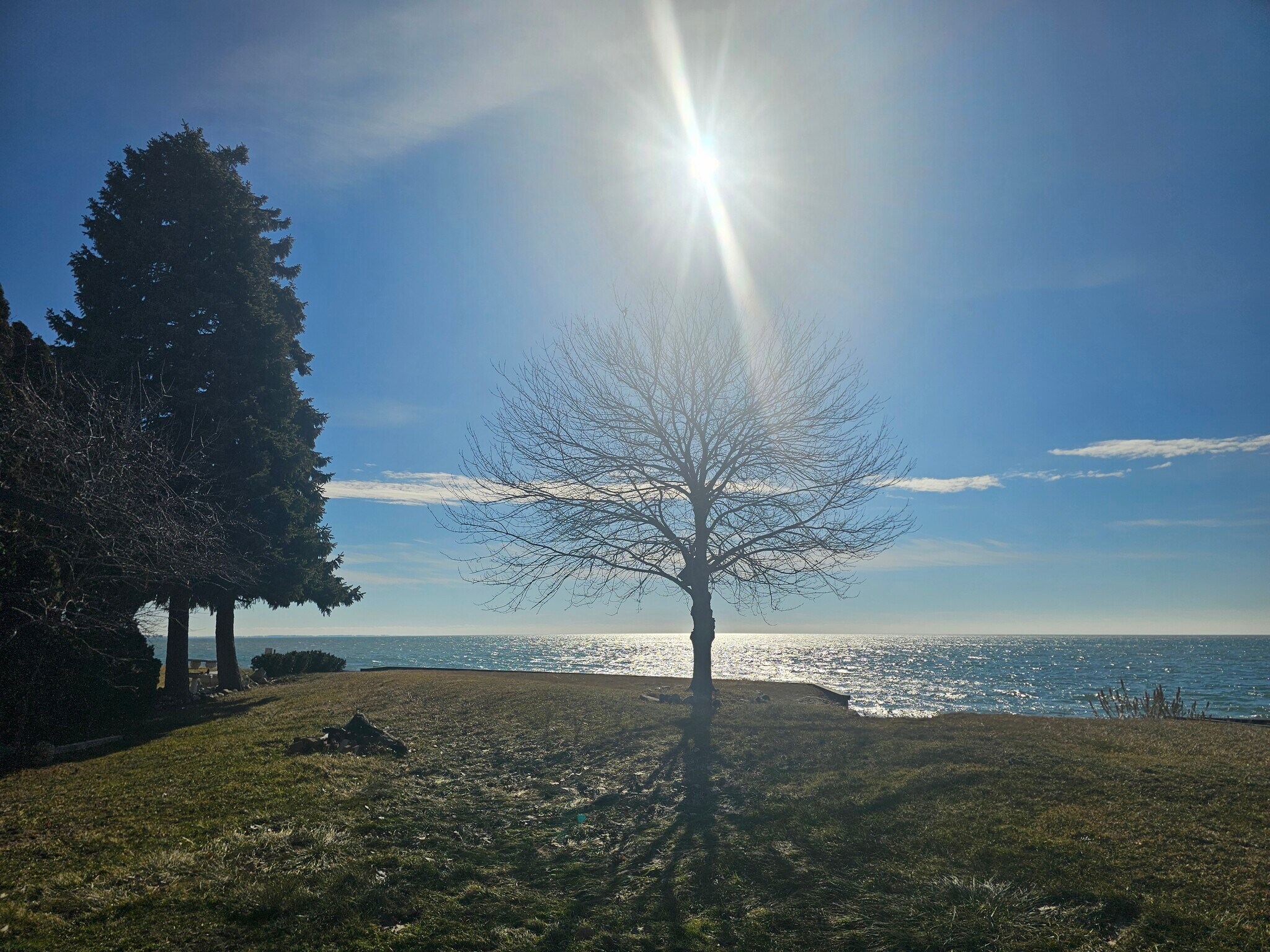 Building Photo - 37252 Jefferson Ave