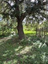 Building Photo - 607 Honeyfarm Ln