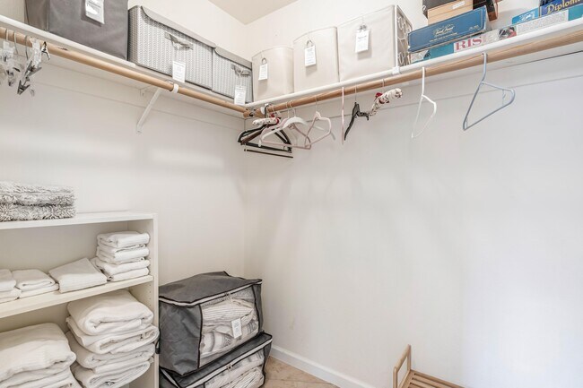 Building Photo - 323 Bodmer Ln