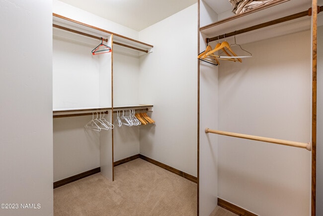 Building Photo - 1507 E Castle Hills Dr
