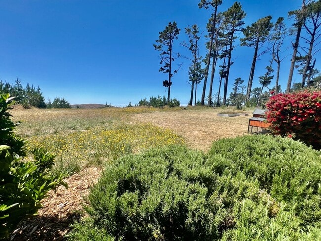 Building Photo - Carmel Highlands Mountain Top Stunning Vie...