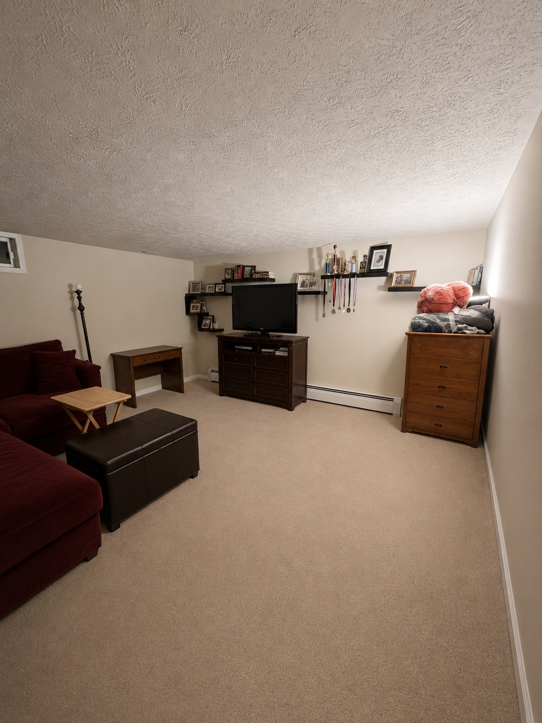 Basement - 9517 Donnan Castle Ct