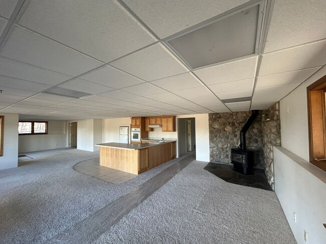 Building Photo - Spacious Daylight Apartment in Hamilton