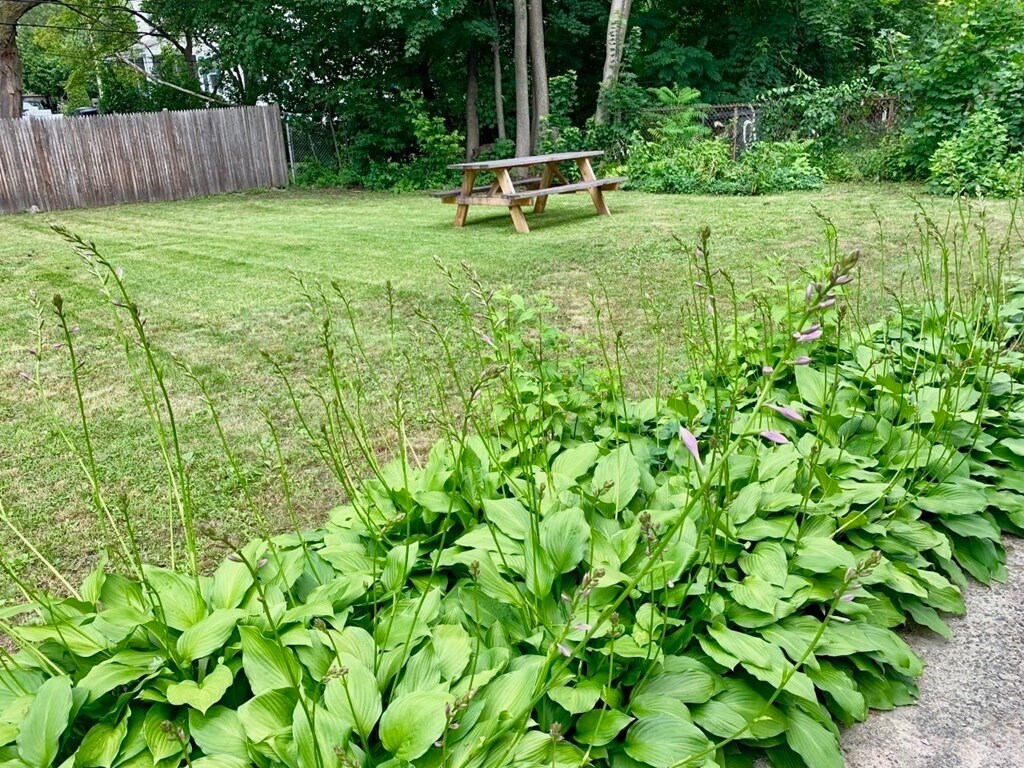 Building Photo - 8 Wyvern St