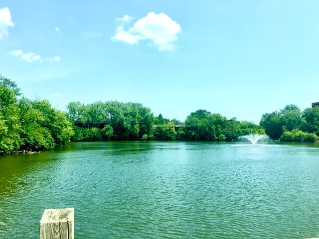 Building Photo - 6020 Oakwood Dr