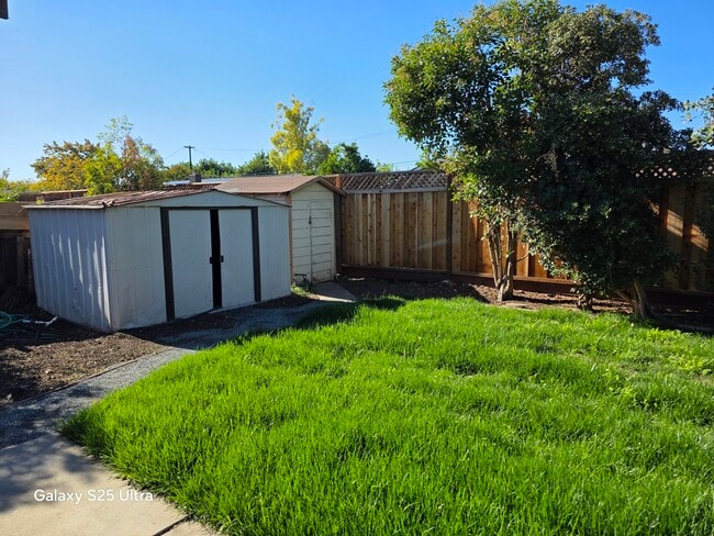 Building Photo - 3979 Mulberry Dr