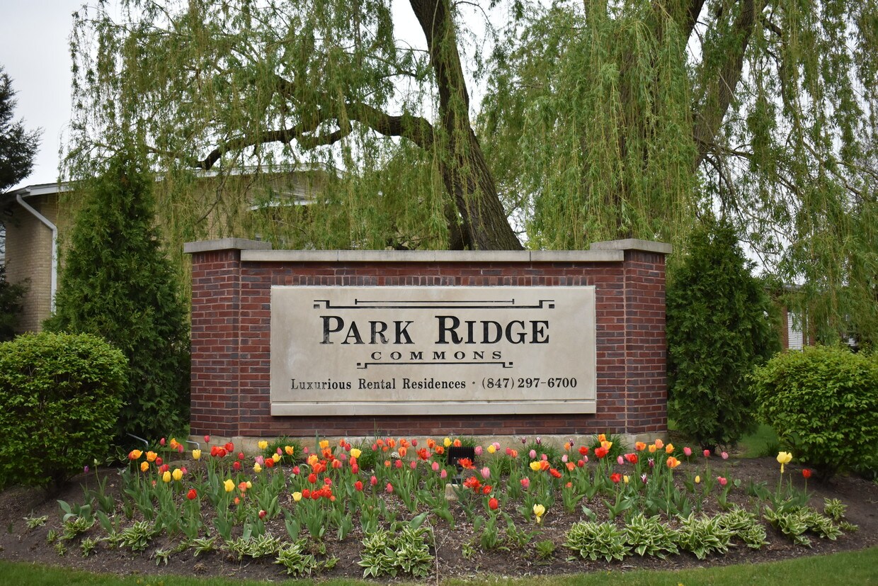 Park Ridge Commons Des Plaines