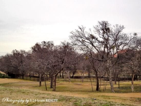 Building Photo - 4927 Oak Knoll Ln