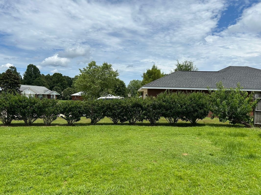 Building Photo - 11892 Yellowhammer Ct