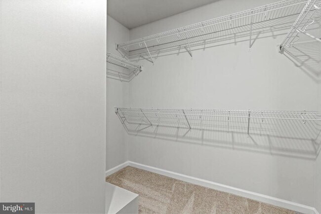 Building Photo - 2400 Stella Pl