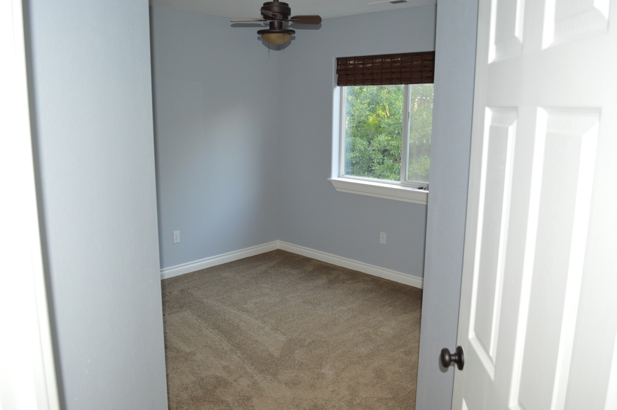 Bedroom 3 - 16541 Southwest Daylily Street