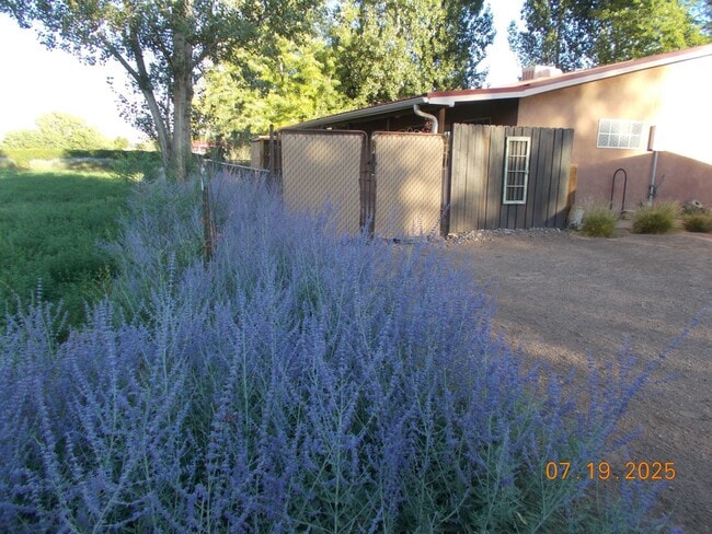 Building Photo - Darling South Valley Guest House Casita