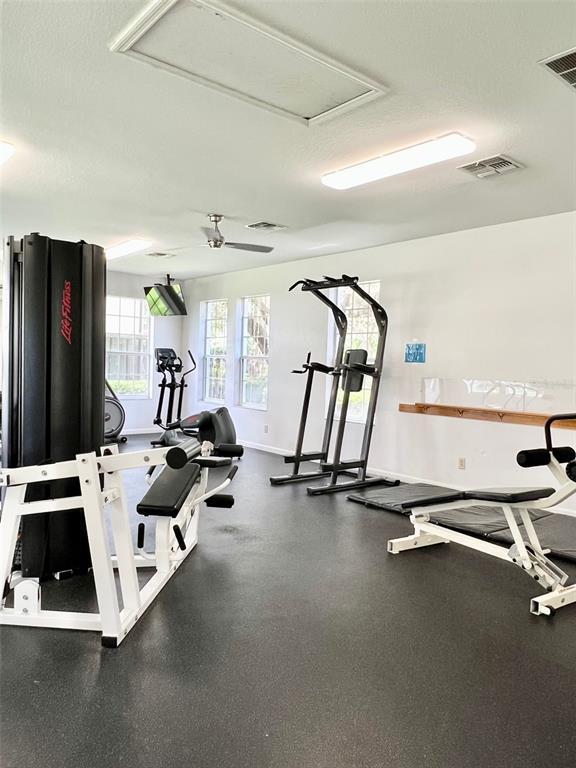 Building Photo - 3149 Stowe St