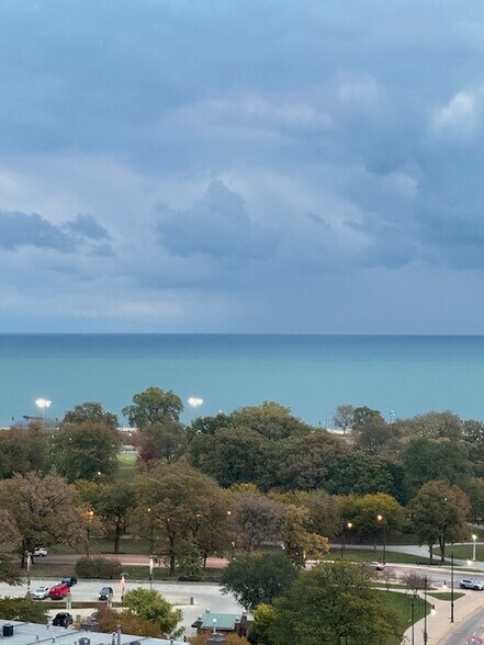 View - 1636 N Wells St