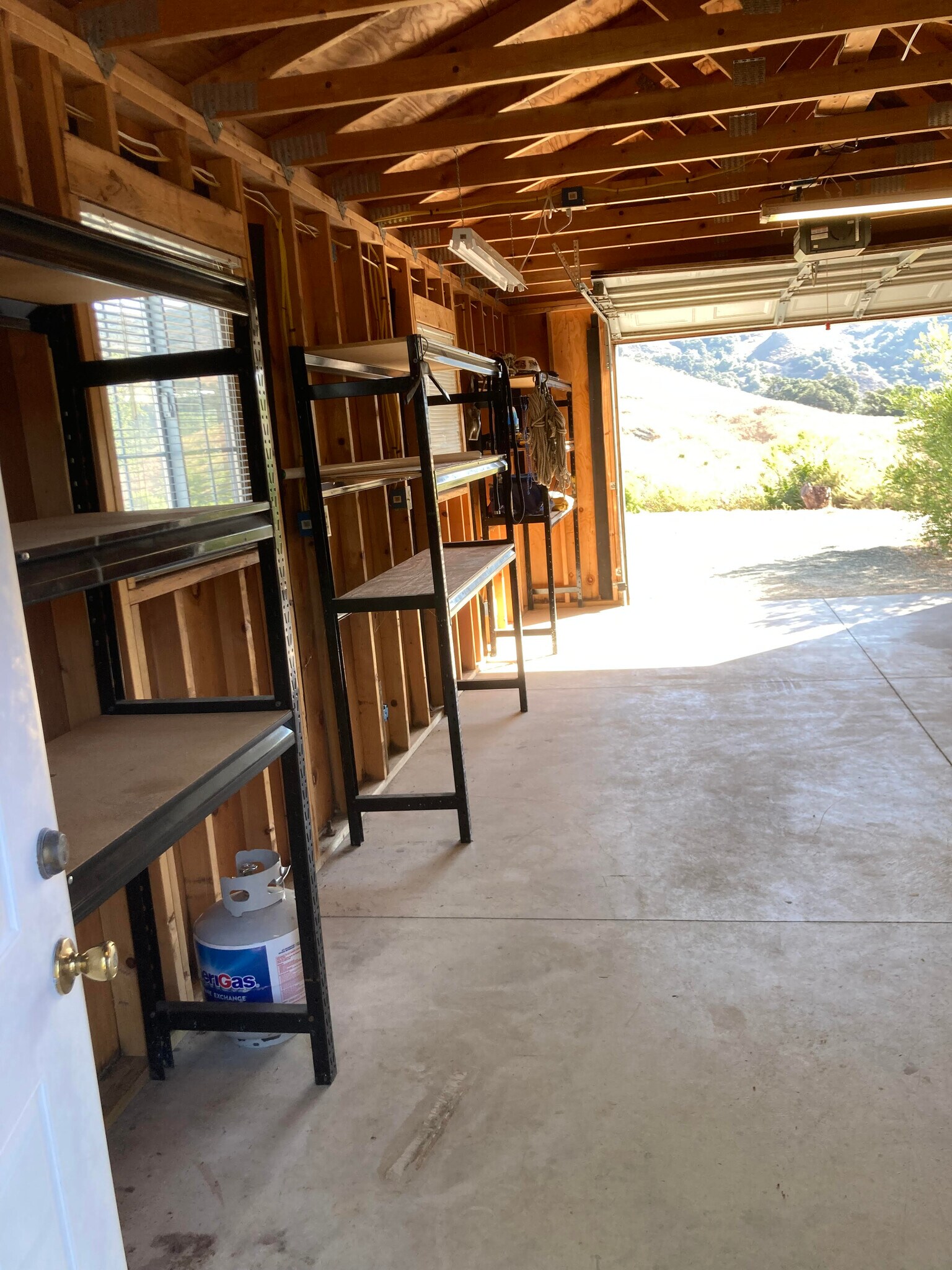Detached garage, multiple steel shelves and numerous lites, windows and electrical outlets - 2596 Black Walnut Rd