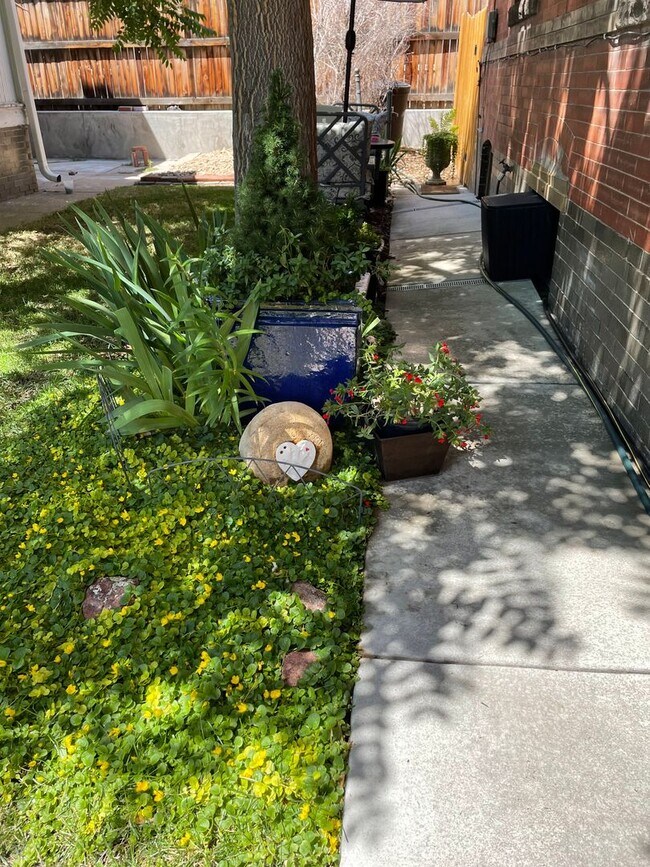 Building Photo - Charming duplex available in Cherry Creek North, one of Denver’s most sought-after neighborhoods!