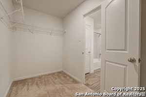 Building Photo - 2823 Citron Garden