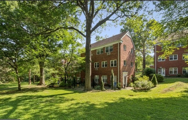 Building Photo - Charming Tree-Top Condo in Historic Parkfa...