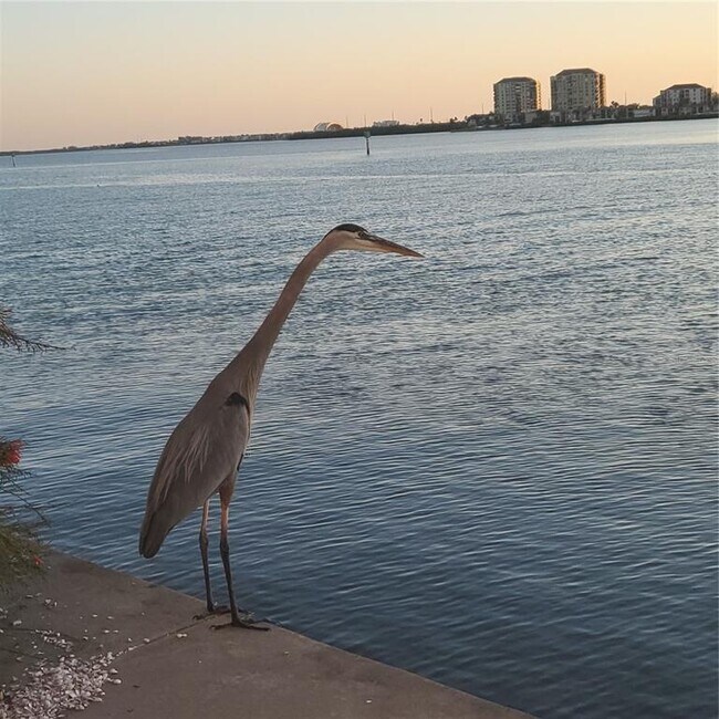 Building Photo - 5220 Brittany Dr S