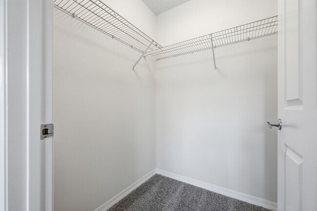 Building Photo - 4270 Calinda Ln