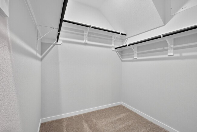 Building Photo - 3922 Accolade Xing