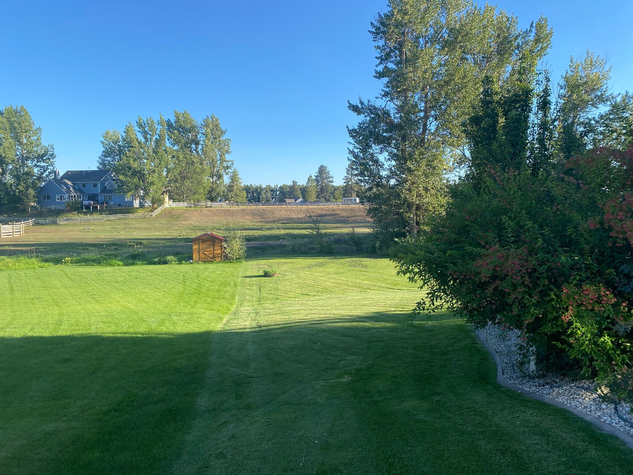 Yard - 323 Maroon Ct