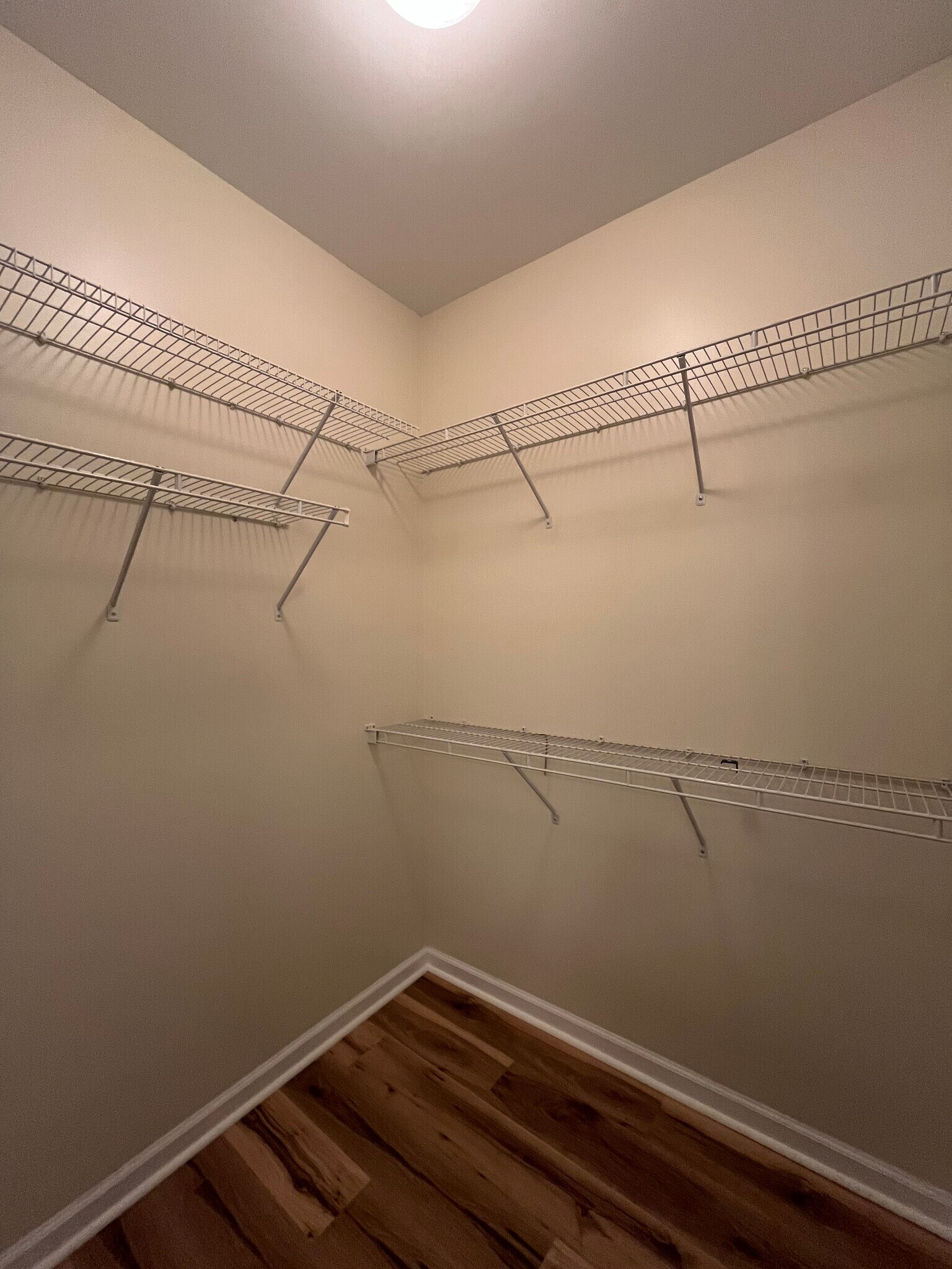 Building Photo - 616 Marshtree Ln