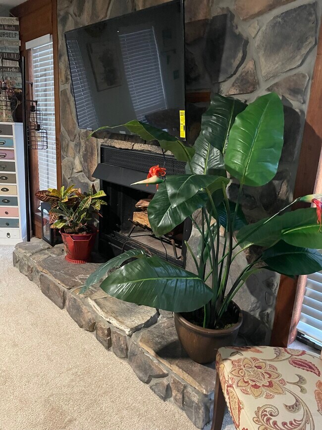 Building Photo - 4726 Hollis Rd