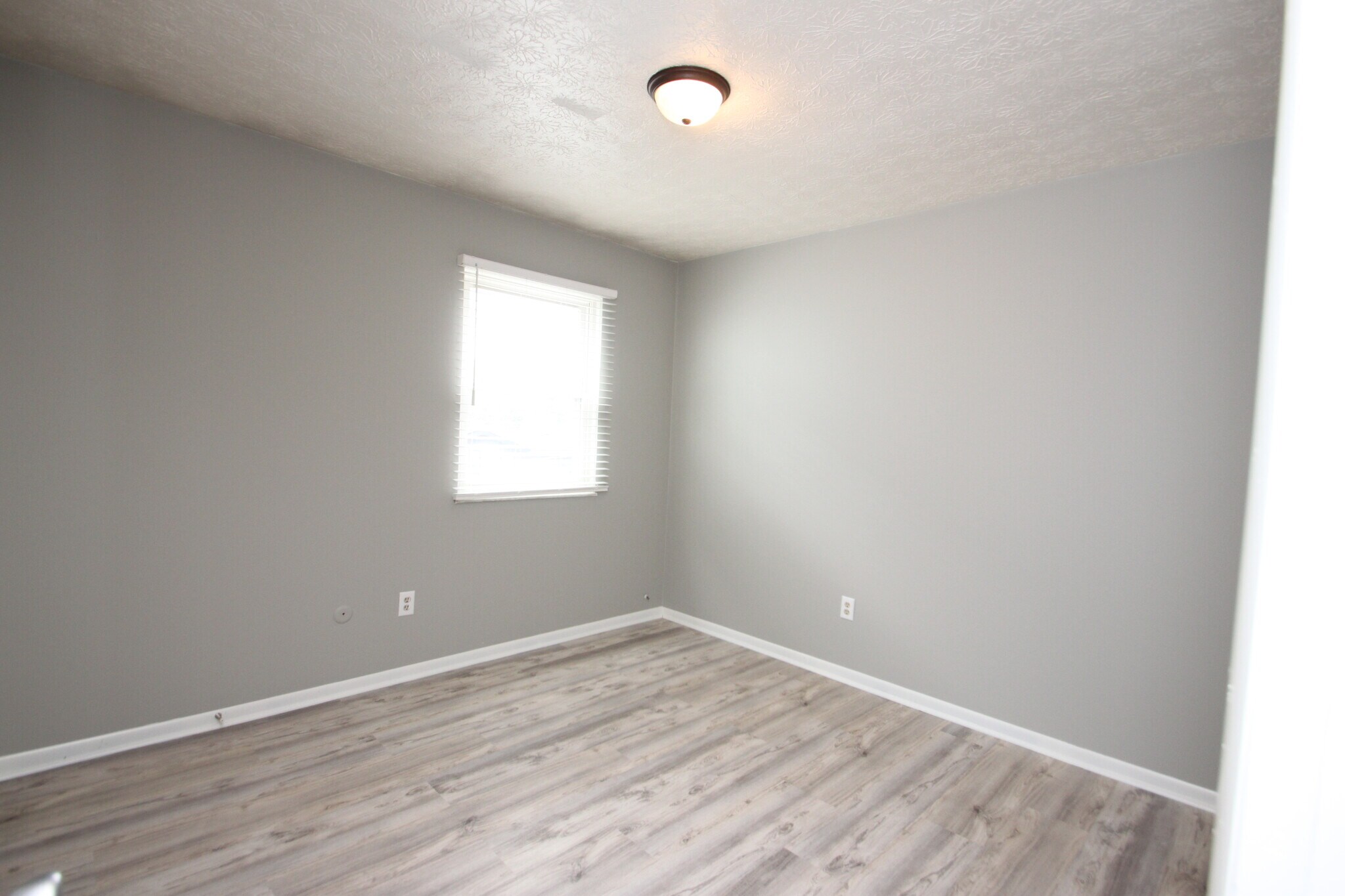 Building Photo - 315 Forest St