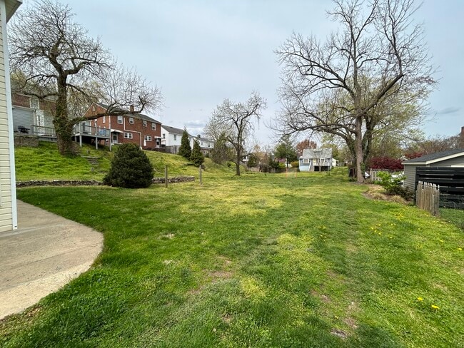 Backyard - 505 Hawke St