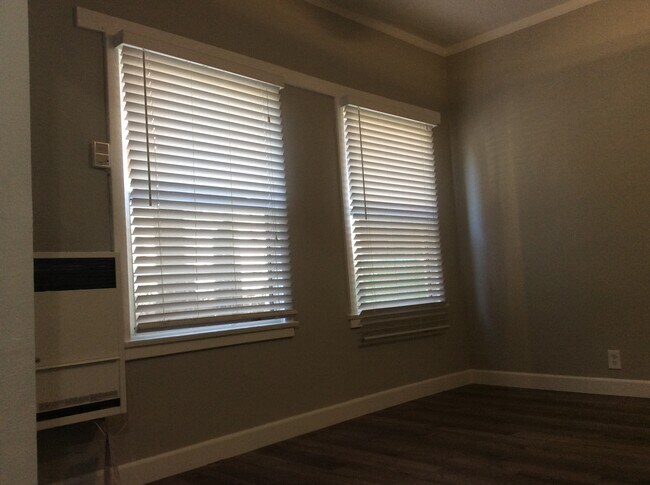 Natural Sunlight Large Windows - 2222 Cambridge St