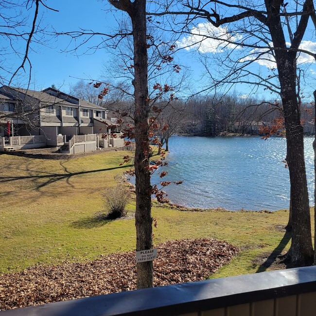 Building Photo - 74 Lakeshore Ct