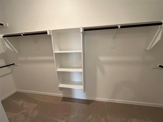 Building Photo - 1520 Van Gogh Dr