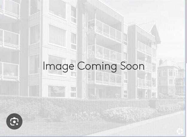 Primary Photo - Coast Pine