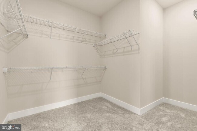 Building Photo - 7916a Potter Pl