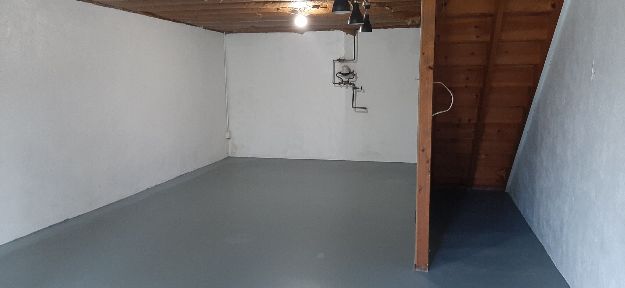 Basement - 638 Peachview Ln