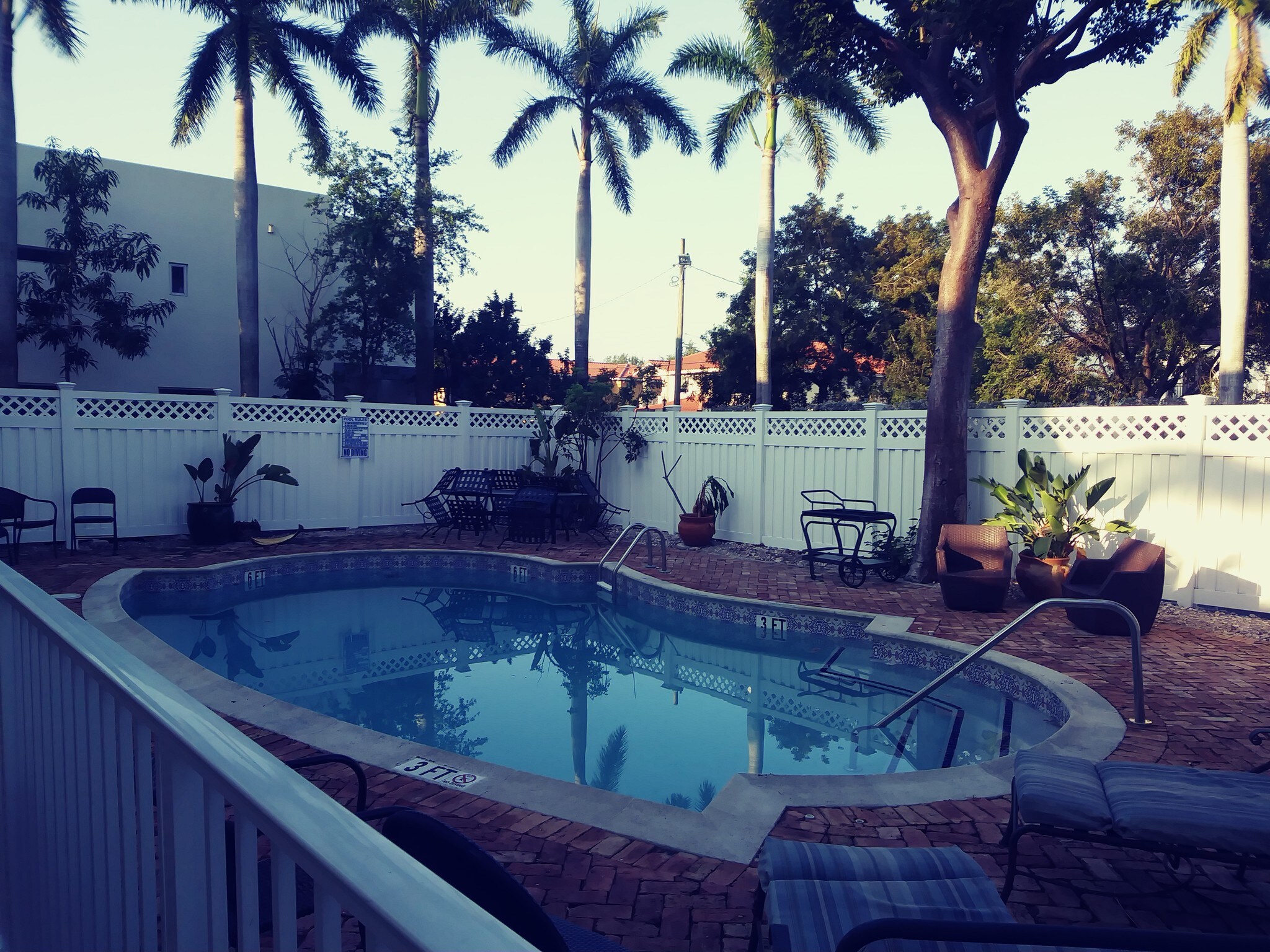 Pool Area - 3356 Bird Ave